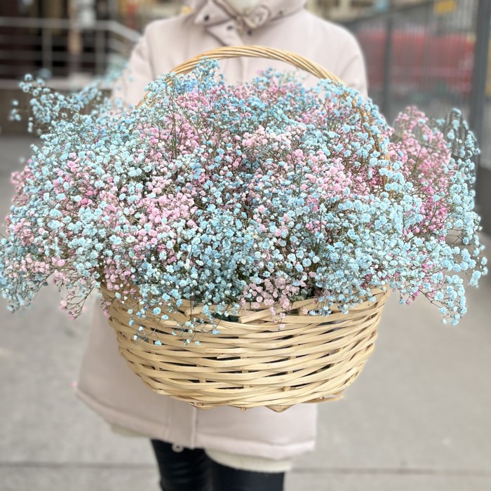 Корзина на Гендер Пати 25 гипсофил